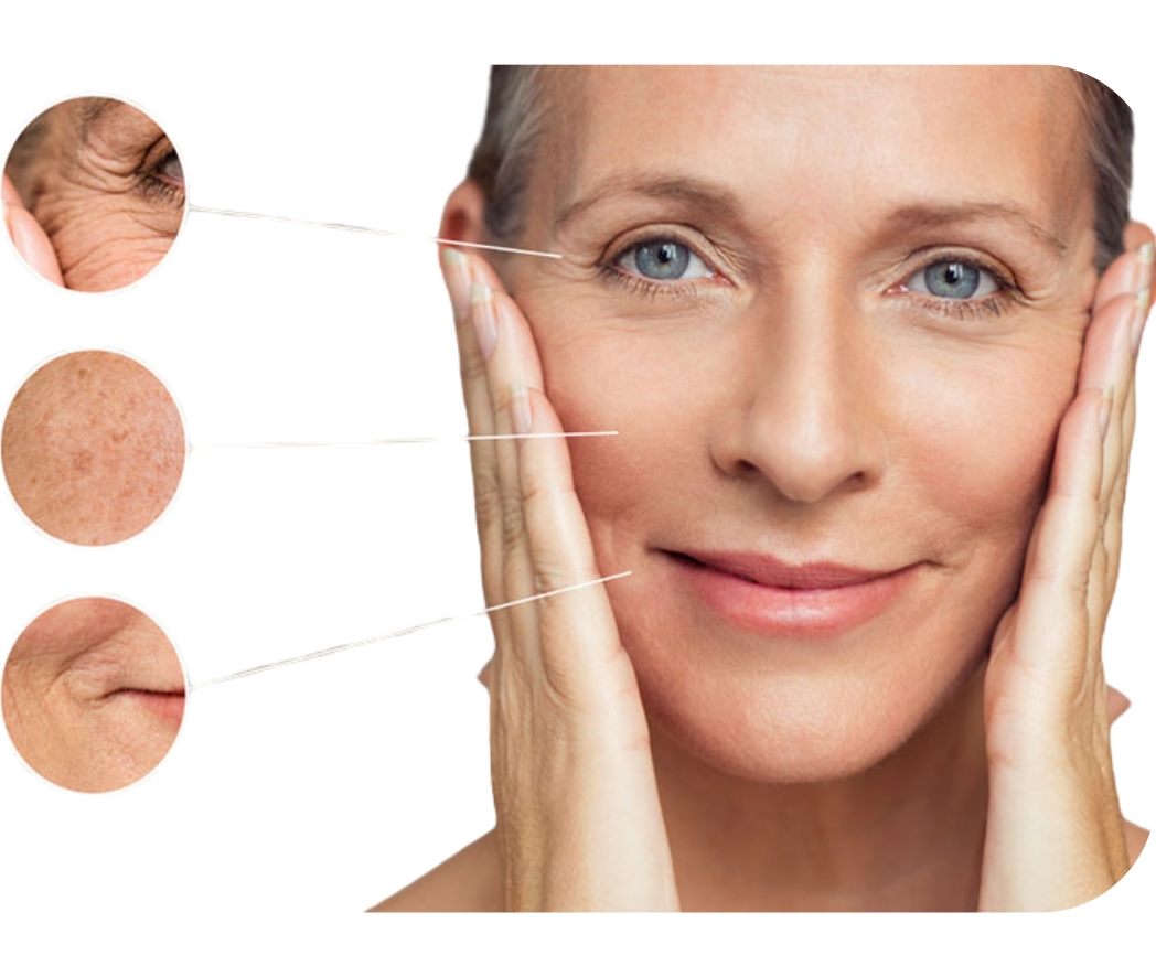 hc aesthetics-cabinet-lipofiling hc aesthetics-cabinet-lipofiling